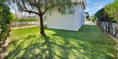 a tree in a yard next to a white building at Sunset Villa by Laranjal Rentals in Olhos de Água