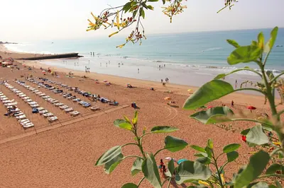 a beach with a bunch of chairs and the ocean at Cool Grey Albufeira in Albufeira