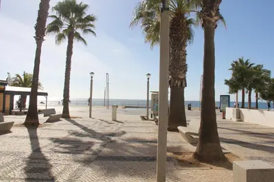 a row of palm trees on a beach with the ocean at Quarteira Comfortable Apartment in Quarteira