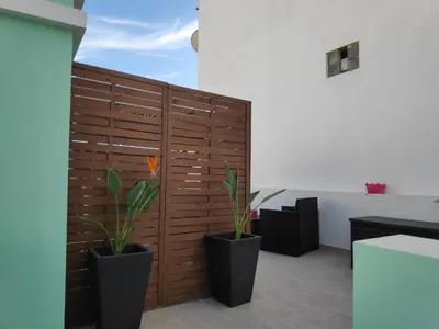 two plants in pots in front of a wooden wall at The Old Town House by Freetimealgarve in Faro