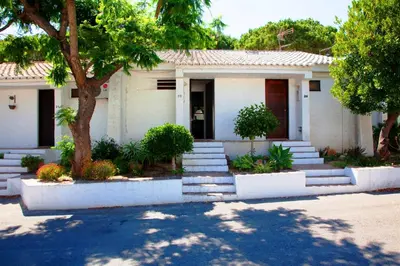 a house with stairs and a tree in front of it at Acoteias Studio by be@home in Albufeira