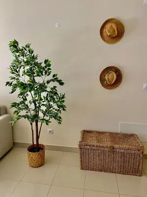 a tree in a room with a basket and a wall at Condomínio Olhos D'água T1 - Praia, sol e felicidade in Olhos de Água