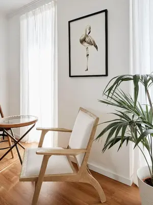 a room with a chair and a table and a plant at Casa Apollo Guesthouse in Faro