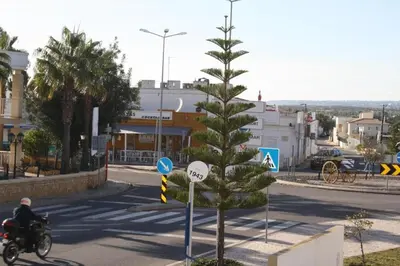a man riding a motorcycle next to a small pine tree at 4 bedroom town house Vale de Parra, close to Gale AT22 in Guia