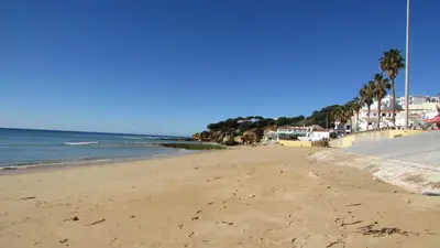 a sandy beach with palm trees and the ocean at Pomba Branca (4-6 per.) Piscina, 500m Praia in Albufeira