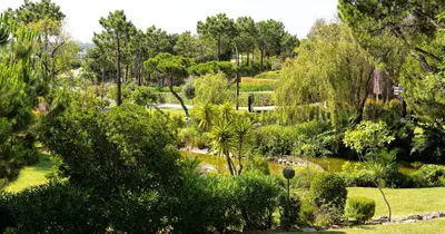 a garden with trees and bushes and a pond at Victory Village 3B in Quinta do Lago