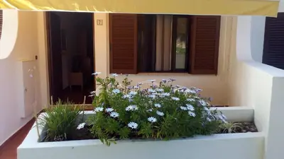 a window box with flowers in front of a building at Casal das Alfarrobeiras, 7 in Vilamoura