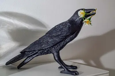a black bird with a flower in its mouth at Pine House - Faro Airport, Beach and City Center in Faro