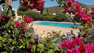 a swimming pool in a garden with flowers at Villa Navita in Loulé