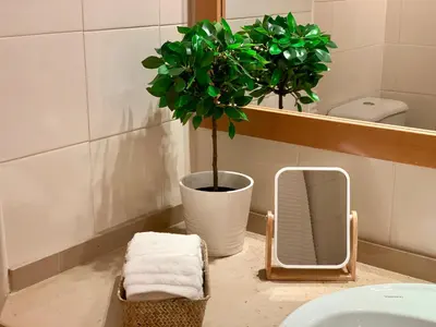 a bathroom with a potted plant and a mirror at Charming Apartment with Private Garden & Pool in Vilamoura