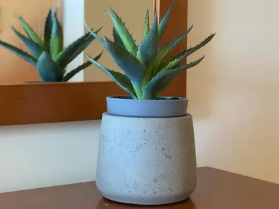 a plant in a white pot sitting on a table at Charming Apartment with Private Garden & Pool in Vilamoura