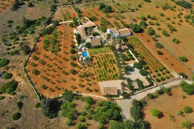 an aerial view of a house in a field at Monte das Cortelhas in Guia