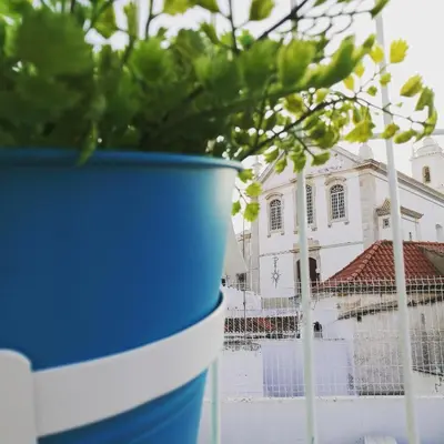 a blue and white barrel with trees in front of a white house at Peneco Albufeira GuestHouse in Albufeira