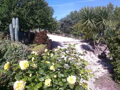 a garden with yellow roses and a fence at Casa Adega - Quinta Amoreira in Faro