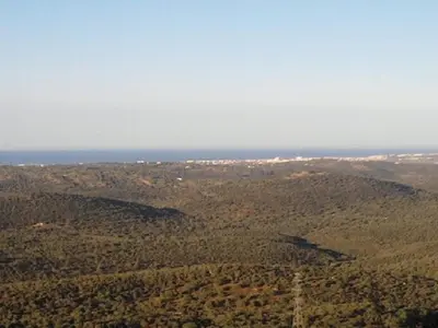 an aerial view of a forested area with the ocean at Casa Adega - Quinta Amoreira in Faro