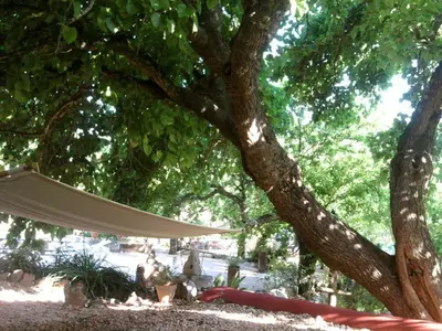 a white hammock under a tree in a park at Casa Amoreira - Quinta Amoreira in Faro