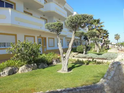 a house with a tree in the yard at Jardim Paraiso Apartments in Albufeira