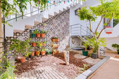 a garden with potted plants in front of a building at Groundfloor in Faro