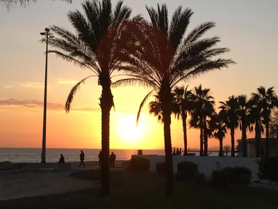 a group of palm trees on the beach at sunset at CosyAvenida Mar, 2 rooms in Quarteira
