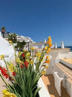 a view of a balcony with flowers at Albufeira, Sea View (25) in Albufeira