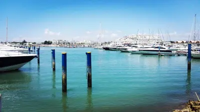 a group of boats docked in a marina at Aldeia do Mar Studio Vilamoura Center - SWIMMING POOL in Vilamoura