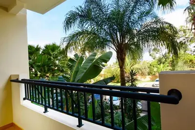 a balcony with a view of a palm tree at 3HB Guarana - All Inclusive in Albufeira