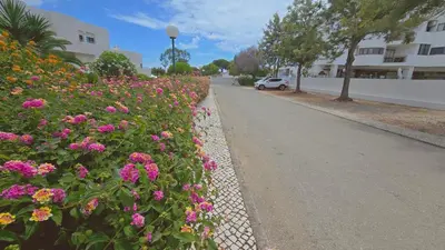 a street with pink flowers on the side of a road at Praia Eulália with pool and 5 minutes from the beach in Albufeira