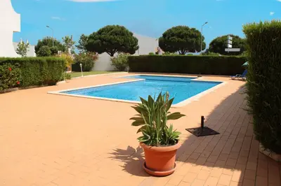 a potted plant sitting next to a swimming pool at Recanto da Galé by Umbral in Albufeira