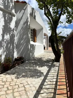 a room with a door and a table with a plant at Villa Namibe na Quinta da Balaia in Albufeira
