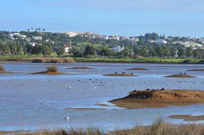 a large body of water with birds in it at Hospedaria do Almargem in Quarteira