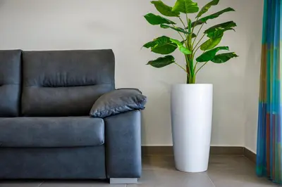 a plant in a white vase next to a couch at AlbufeiraMar Apartment in Albufeira