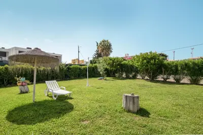 a backyard with a swimming pool and chairs and a palm tree at Villa Sunshine in Roja- Pé