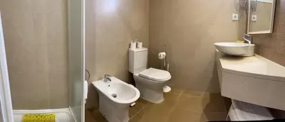 a bathroom with a toilet and a sink and a shower at FLOR DO VALE - APARTAMENTOS TURISTICOS in Guia
