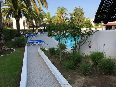 a backyard with a swimming pool and palm trees at Appartement Sao Rafael praia Algarve portugal in Albufeira