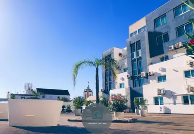 a building with a palm tree in front of it at Apartment Sant'Ana Old Town Albufeira - Bay View in Albufeira