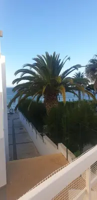 a balcony with a palm tree on the beach at Praia Oura Sunset in Albufeira