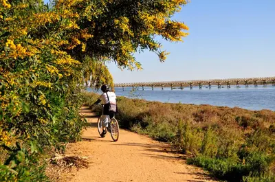 a person riding a bike on a dirt path near the water at Villa Vale Do Lobo 2 Townhouse 3 Bedroom Close To Amenities And Beach in Vale do Lobo