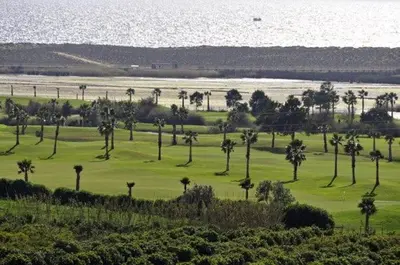 a group of palm trees on a golf course at Vale Do Lobo Villa 4 Bedrooms Villa Vale Do Lobo 186 Swimming Pool in Vale do Lobo