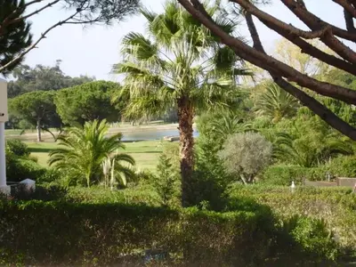 a palm tree in the middle of a park at Vale Do Lobo Villa 4 Bedrooms Villa Vale Do Lobo 186 Swimming Pool in Vale do Lobo