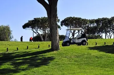 a golf cart parked next to a tree in a field at Vale Do Lobo Villa 4 Bedrooms Villa Vale Do Lobo 186 Swimming Pool in Vale do Lobo