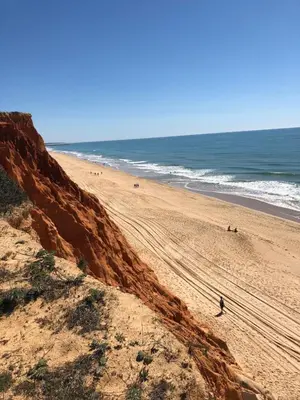 a beach with people on the sand and the ocean at Pinetops holidays Apartment in Albufeira