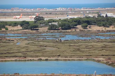 an aerial view of two reservoirs in a field at Ricardo Rolão Vista Mar - Edifício Oásis - Bedrooms in Faro