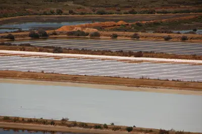 an aerial view of a river with birds in the water at Ricardo Rolão Vista Mar - Edifício Oásis - Bedrooms in Faro