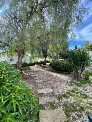 a garden with trees and a stone path at Apartamento Varandas do Mar in Albufeira