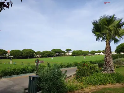 a palm tree in the middle of a park at Alsol C 5361-1 in Quarteira