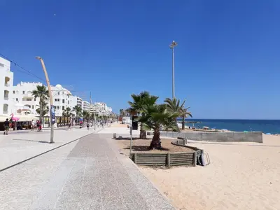 a sandy beach with palm trees and the ocean at T1 Praiamar 4 Vista Magnifica in Quarteira