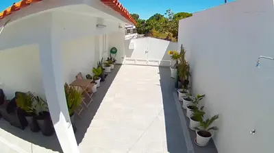 a patio with potted plants on a white house at Casa Sequeira in Albufeira