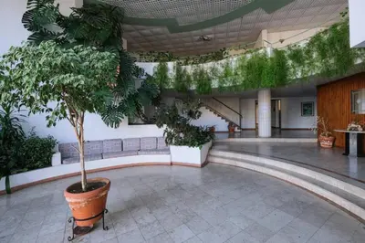 a hallway with a large potted tree in a building at AL-Dream Oura Estrela Apartments - CD in Albufeira