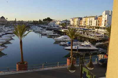 a marina with boats and palm trees and buildings at Casa de Vilamoura in Vilamoura