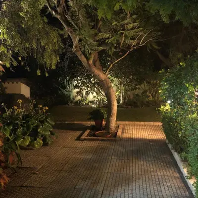 a tree in the middle of a brick walkway at Casa felix in Loulé